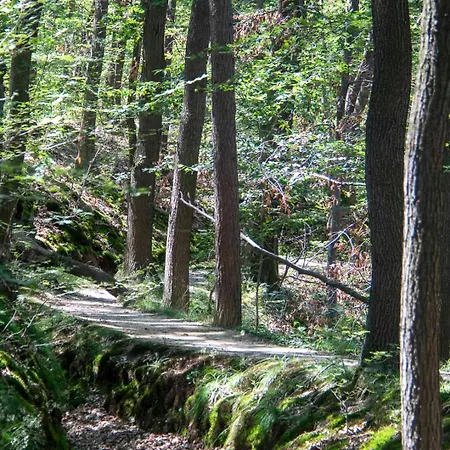 Semesterbostad Leni Bettwaesche Handtuecher Inkl Hasselfelde