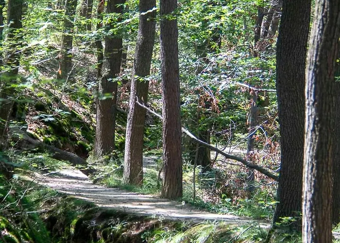 Сasa de vacaciones Leni Bettwäsche Handtücher Inkl Hasselfelde